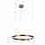 Подвесной светодиодный светильник Loft IT Ring 10013L