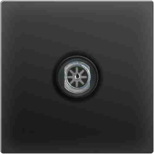 Розетка Werkel Черный матовый WL08-TV-2W