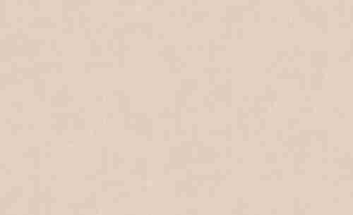 60271-03 Обои Erismann (Callisto) (1*6) 10,05x1,06 винил на флизелине