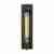 Настенный светильник Loft IT Loft2113W