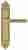Ручка дверная Extreza BENITO (Бенито) 307 на планке PL02 PASS полированное золото F01