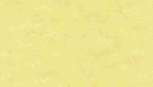 30128 Обои Marburg (Bombay 2) (1*4) 10,05x0,92 винил на флизелине