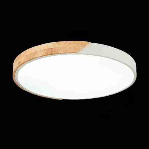 Потолочный светодиодный светильник Evoluce Festa SLE200952-01