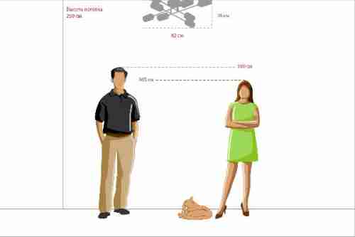 Потолочная люстра DeMarkt Олимпия 638012108