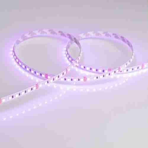 Светодиодная лента Arlight RT 026832