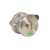 Ручка поворотная Fuaro BK8.R.DSS304-button с индикатором INOX 304 Ручка поворотная Fuaro BK8.R.DSS304-button с индикатором INOX 304