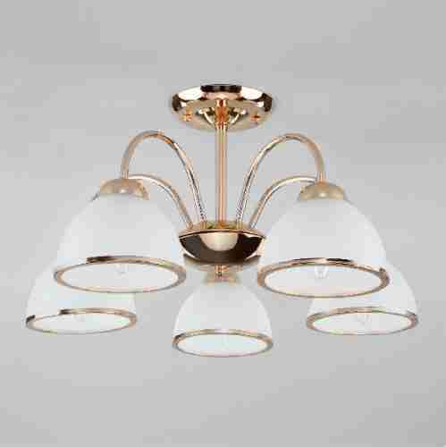 Потолочная люстра Eurosvet Shanon 30174/5