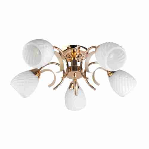 Люстра потолочная TopLight Lenore TL3530X-05FG