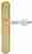 Ручка дверная Extreza DANA (Дана) 305 на планке PL01 PASS полированное золото F01