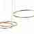 Подвесной светодиодный светильник Loft IT Ring 10017/3L