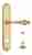 Дверная ручка Venezia "GIFESTION" WC-2 на планке PL02 полированная латунь