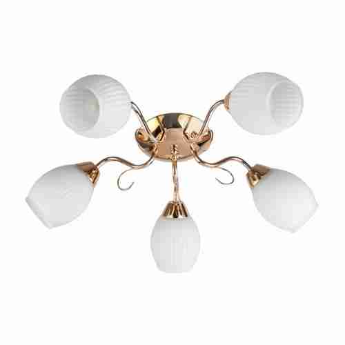 Люстра потолочная TopLight Kristin TL3520X-05FG