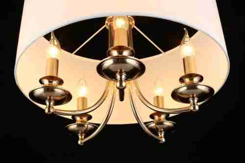 Подвесная люстра Aployt Berze APL.721.06.05