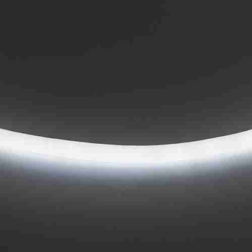 Гибкий неон Lightstar 9,6W/m 120LED/m холодный белый 50M LS720 430204