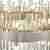Подвесная люстра Vele Luce Regina VL3135P12 Подвесная люстра Vele Luce Regina VL3135P12