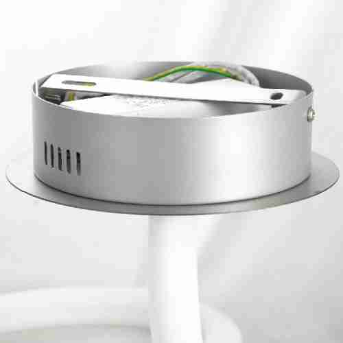 Потолочная люстра Loft Ingersoll LSP-8344