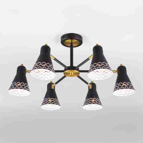 Потолочная люстра Eurosvet Trina 70100/6