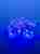 Светодиодная гирлянда Uniel 220V синий LD-S0280-020/DTA BLUE IP20 DIAMONDS 07922