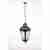 Уличный подвесной светильник Oasis Light 79755L 79755L Bl