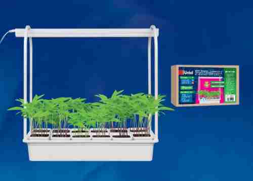 Светодиодный светильник для растений Uniel Minigarden ULT-P34-10W/SPSB IP40 White 12 UL-00004149
