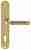 Ручка дверная Extreza BENITO (Бенито) 307 на планке PL01 CYL полированное золото F01