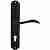 Ручка дверная Extreza AGATA (Агата) 310 на планке PL01 CYL черный матовый F22