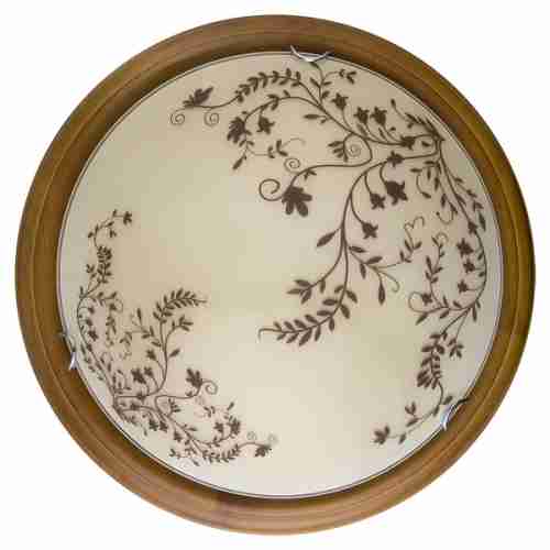 Настенно-потолочный светильник TopLight Irene TL9630Y-00OA