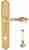 Ручка дверная Extreza EVITA (Эвита) 301 на планке PL01 WC полированное золото F01