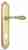 Дверная ручка Venezia "GIFESTION" CYL на планке PL98 полированная латунь