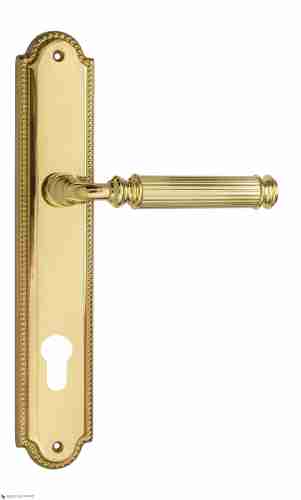 Дверная ручка Venezia "MOSCA" CYL на планке PL98 полированная латунь