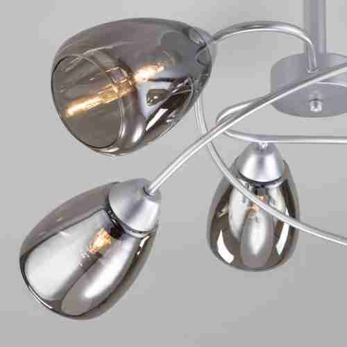 Потолочная люстра Eurosvet Noemi 30168/6 матовое серебро