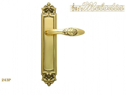 Ручка дверная межкомнатная Melodia Rosa 243/229 Полированная латунь