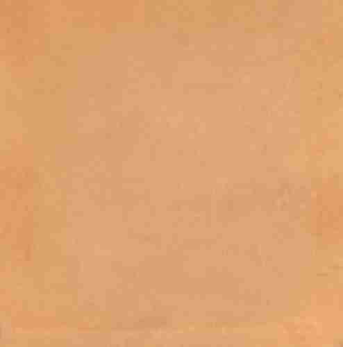 Плитка керамическая Kerama Marazzi Капри оранжевый 5238 N настенная 20х20