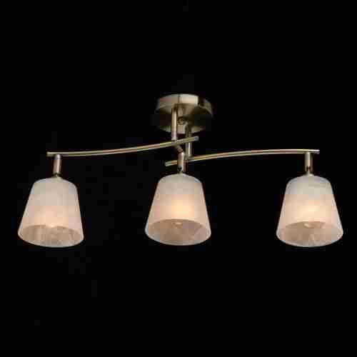 Потолочная люстра DeMarkt Тетро 673014303