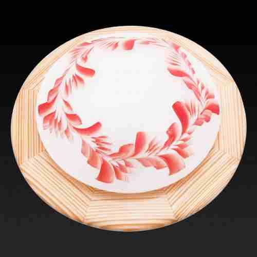 Потолочный светильник Toplight Arialda TL9501Y-01PN