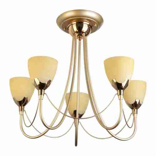 Люстра потолочная TopLight Lucia TL3630X-05MG