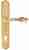 Ручка дверная Extreza EVITA (Эвита) 301 на планке PL01 CYL полированное золото F01