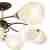 Потолочная люстра Wedo Light Falczes 66598.01.15.08 Потолочная люстра Wedo Light Falczes 66598.01.15.08