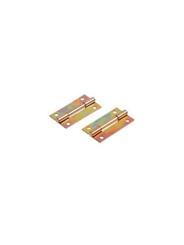 Петля Ajax (Аякс) карточная универсальная LM/IN22x35x1U YZN желтый цинк (2 шт)
