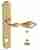 Дверная ручка Venezia "ANAFESTO" WC-2 на планке PL02 полированная латунь