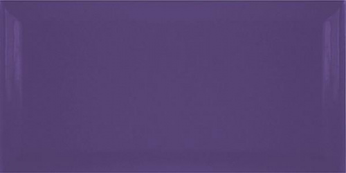 Плитка керамическая Fabresa Morado Biselado настенная 20х10