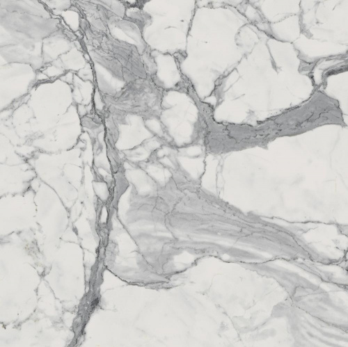 Керамогранит Italon Charme Evo Floor Project Эво Статуарио натур. рет. напольная 60х60