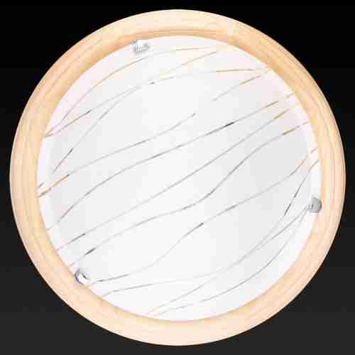 Настенно-потолочный светодиодный светильник Toplight Gabrielle TL9610Y-00PN