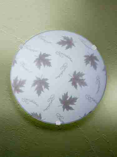 Настенно-потолочный светильник Vitaluce V6283/1A