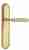 Дверная ручка Venezia "MOSCA" на планке PL98 полированная латунь