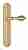 Дверная ручка Venezia "ANAFESTO" на планке PL98 полированная латунь