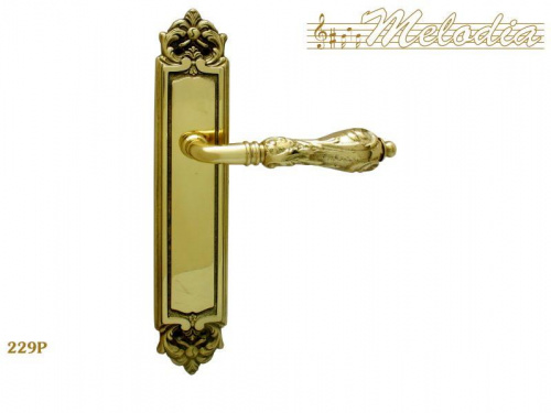 Ручка дверная межкомнатная Melodia Libra 229/229 Полированная латунь