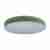 Потолочный светодиодный светильник Loft IT Axel 10001/36 green Потолочный светодиодный светильник Loft IT Axel 10001/36 green