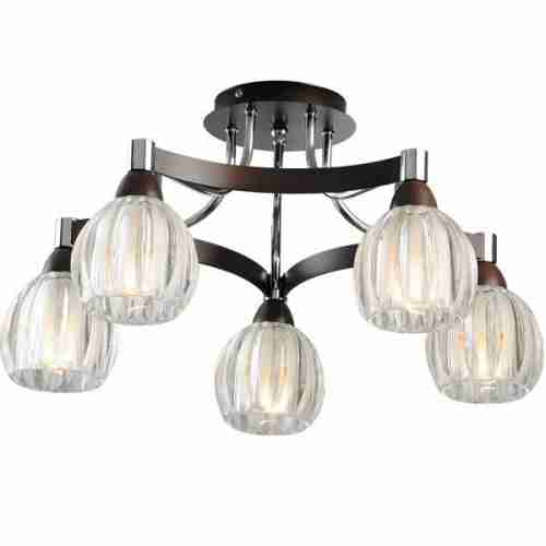 Потолочная люстра N-Light 418 418-05-13W