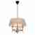 Подвесная люстра Loft IT Loft1029A-2